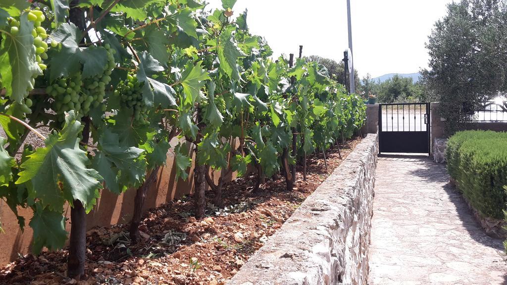 Amadrian Apartments Šibenik Eksteriør billede