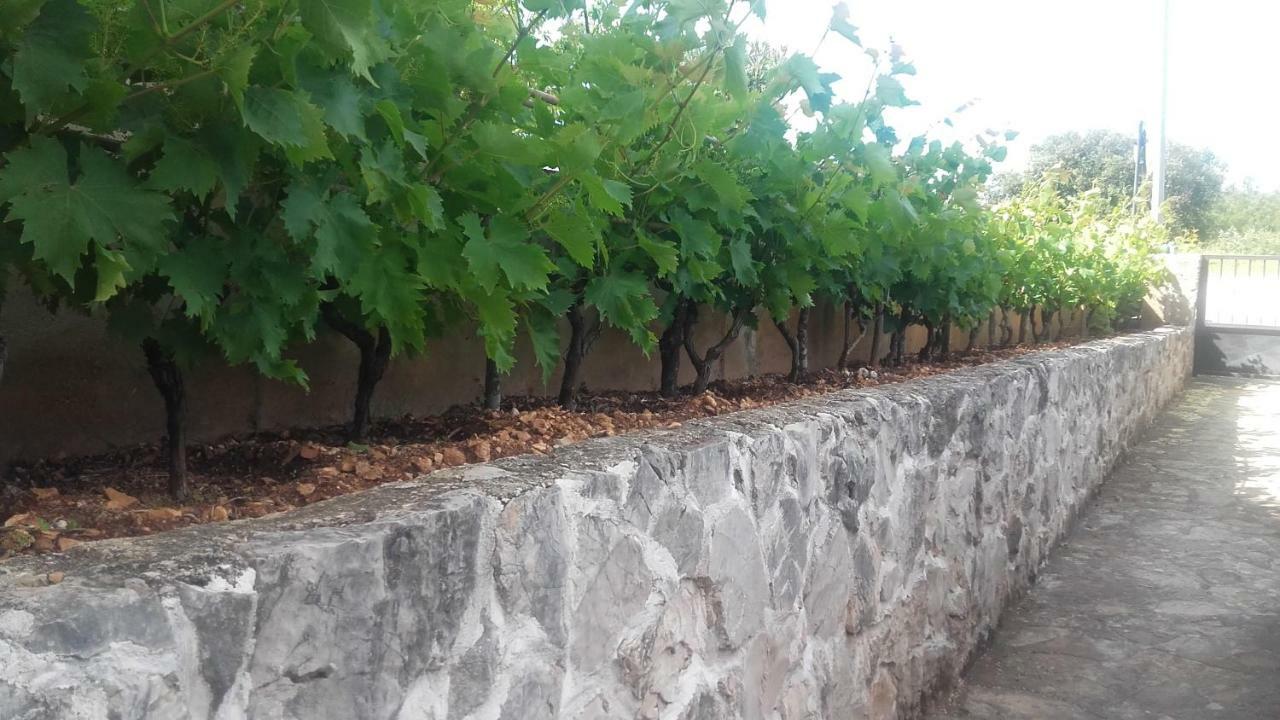 Amadrian Apartments Šibenik Eksteriør billede